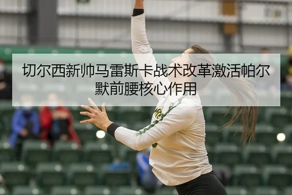 qie-er-xi-xin-shuai-ma-lei-si-ka-zhan-shu-gai-ge-ji-huo-pa-er-mo-qian-yao-he-xin-zuo-yong-2-575.jpg