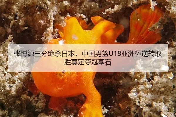 zhang-bo-yuan-san-fen-jue-sha-ri-ben-zhong-guo-nan-lan-ya-zhou-bei-ni-zhuan-qu-sheng-dian-ding-duo-guan-ji-shi-2-105.jpg