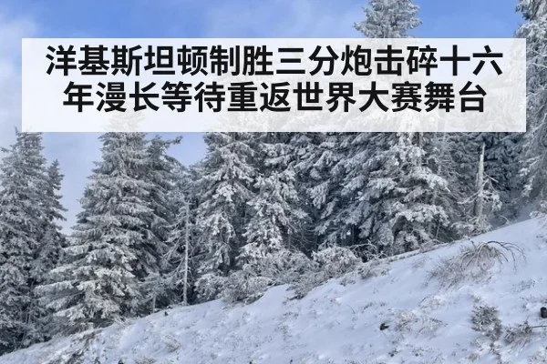 洋基斯坦顿制胜三分炮击碎十六年漫长等待重返世界大赛舞台