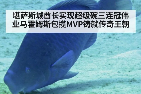堪萨斯城酋长实现超级碗三连冠伟业马霍姆斯包揽MVP铸就传奇王朝
